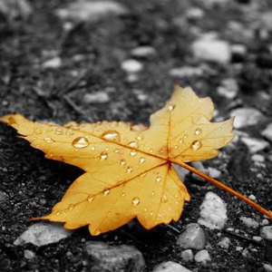 《初次深交流》电视剧双男主
